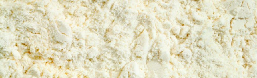 Whey Powder Whey Powder