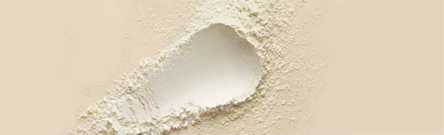 Whole Milk Powder Whole Milk Powder